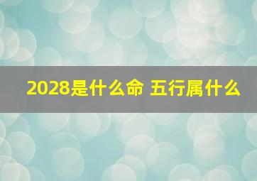 2028是什么命 五行属什么